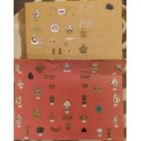 TWO BOARDS OF MILITARY REGIMENTAL BADGES AND INSIGNIA
