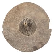 A scarce Hadendowa warrior’s elephant hide war shield c 1880, of typical circular form, with large