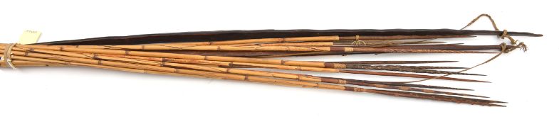2 Pacific Islands dark wood bows, of flattened oval section, with bamboo drawstrings, 56” and 58”