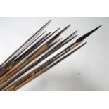 12 various fishing spears, on bamboo hafts, average 4’ overall. GC