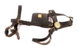 An LMS Railway horse’s bridle. A leather bridle with brass buckles and 4 brass plates marked ‘