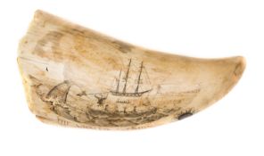 A scrimshaw engraved whale’s tooth, showing a scene entitled “The Whaler Albion”, with longboat