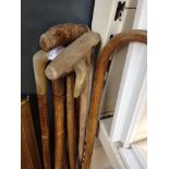 VARIOUS WALKING STICKS R