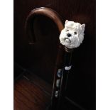 MODERN DOGS HEAD WALKING STICK AND ANOTHER