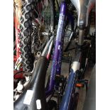 A LADIES UNIVERSAL MOUNTAIN BIKE