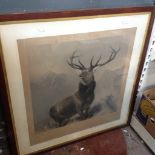 ENGRAVING OF A STAG IN OAK FRAME. H96CM R