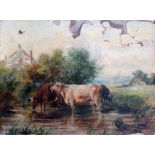 W Friston (19th Century), cattle, oil on panel, 36cm x 25.5cm, signed lower right, unframed.