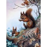Carl Donner (20th Century), red squirrels eating nuts, watercolour, 20cm x 29cm, signed lower right,