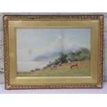 T Molyneux Miller, cattle grazing, watercolour, 44cm x 28cm, signed lower right and dated '93,