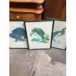 A SET OF 3 BIRD PRINTS