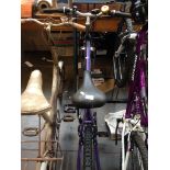 LADIES PURPLE SONIC BIKE