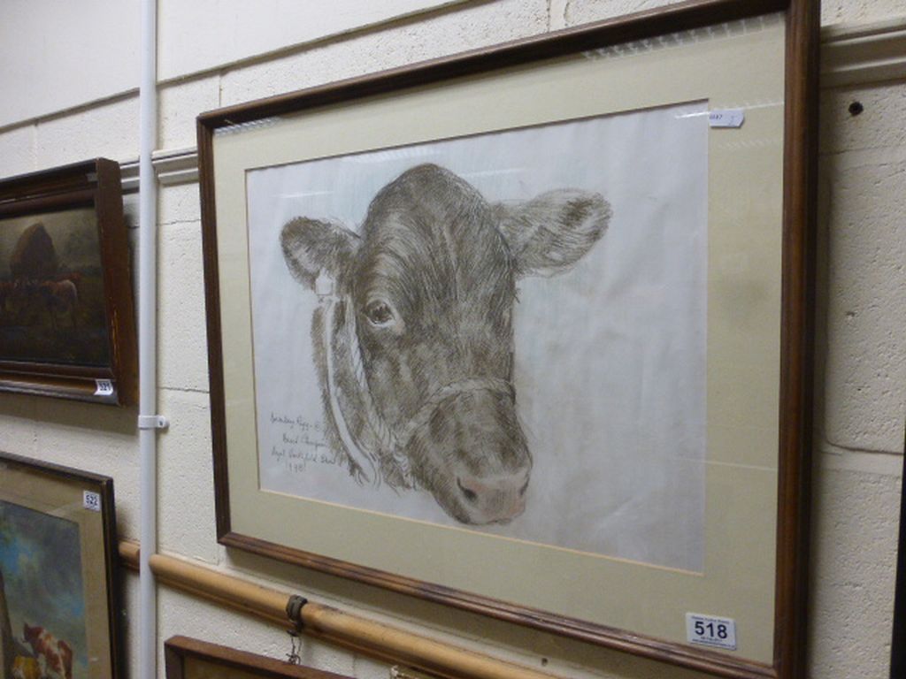 Darnley Rigg 'Best of Show, Royal Smithfield' pastel portrait of a cow signed and dated 1988