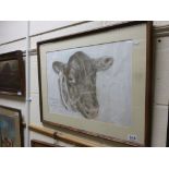 Darnley Rigg 'Best of Show, Royal Smithfield' pastel portrait of a cow signed and dated 1988