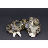 A Winstanley tabby cat, size 7