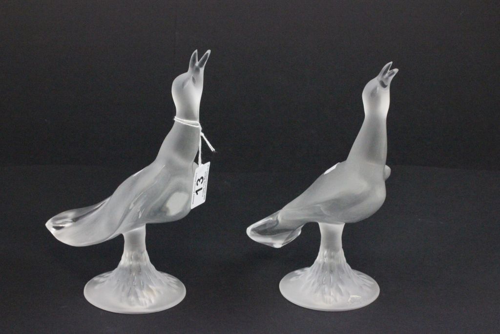 A pair of lalique seagulls, signed to base "Lalique, France"