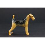 A Beswick of a Airedale terrier