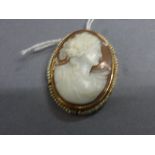 Yellow metal & seed pearl mounted cameo brooch