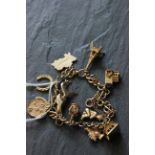 9ct gold charm bracelet with charms