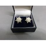 Pair of 14ct white gold diamond cluster earrings in the daisy style