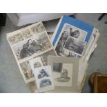 Collection of Unframed Engravings, mainly Animal related