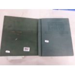 Two green stamp albums with a quantity of world stamps mint & used hinged & in protectors plus loose