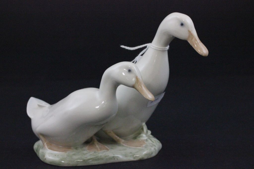 A Royal Copenhagen figure of two ducks