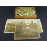 Early 20C 6 sided wooden block puzzle with animal pictures, all image sheets present with the lot