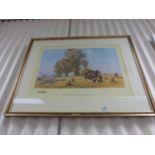 Signed framed and glazed David Shepherd print Life Goes On