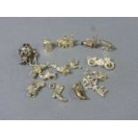 15 White Metal and Silver Charms