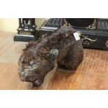 An early 20th century taxidermy panther head