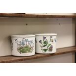 Two Portmerion "Botanic Garden" pots