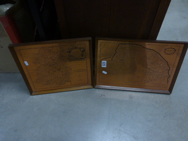 Pair of Etched Copper Maps, Norfolk and Shropshire after Robert Morden