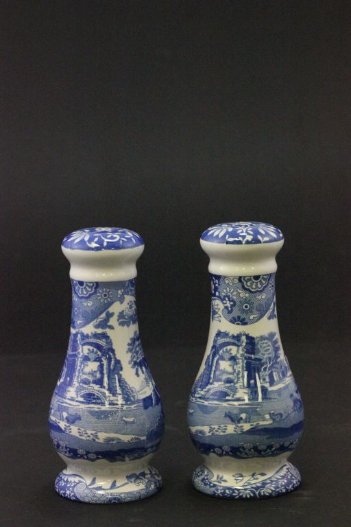 Spode Italian Large Salt and Pepper Pot