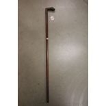 Walking stick with a dogs head handle