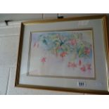 A watercolour of fuschias, signed Alison Petrie 92