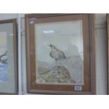 Alan Carr - Three Watercolours Studies of Birds - Owl, Falcon and Eagle, all framed and galzed, 41cm