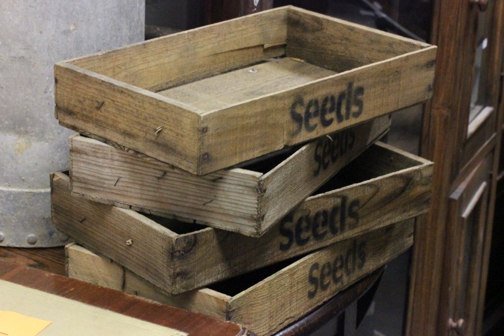 Four Wooden Seed Trays / Boxes marked ' Seeds '