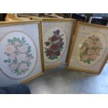 Joanna A Lowe - Set of Four Botanical Studies showing species of Roses, all in oval mounts and