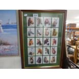 A framed full set of race horse cigarette cards ' Heads of Famous Winners ', Series 1