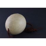 An antique Ostrich egg with hanging thread for display