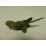 Cold Painted Spelter Figure of a Budgie