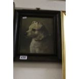 An oak framed oil painting study of a fighting dog