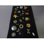 Display board with approximately 24 vintage brooches