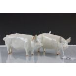 Two Beswick ceramic pigs; CH Wall CH Boy 53 & CH Wall Queen 40