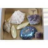 Box containing two pieces of amethyst, a fossil of a fish, and a selection of tropical shells
