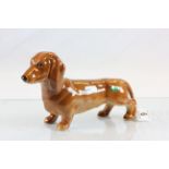 Beswick model 3013 standing Dachshund in gloss finish