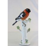 Meissen Bullfinch on tree branch with blue Meissen marks to base and numbered 899X