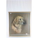 Marjorie Cox framed & glazed pastel of a Retriever 1992