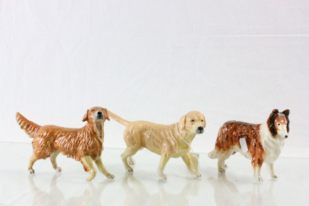 Three Royal Doulton ceramic models of dogs to include; Rough Collie, Labrador & Retriever