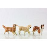 Three Royal Doulton ceramic models of dogs to include; Rough Collie, Labrador & Retriever